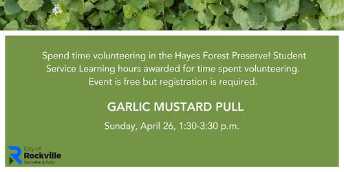 Volunteer for the Environment