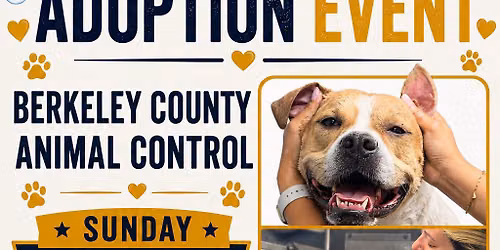 Doggie Day Spa for BCAC