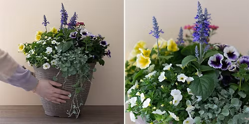 Make-n-Take: Heat Tolerant Container Garden at Mahoney's Tewksbury