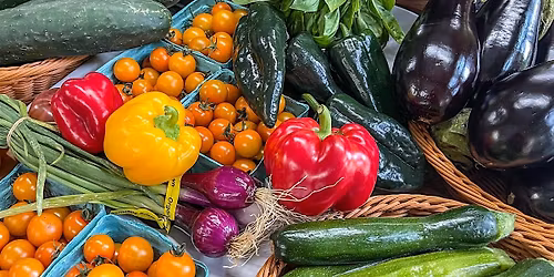 Vegetable Gardening 101 - Getting Started