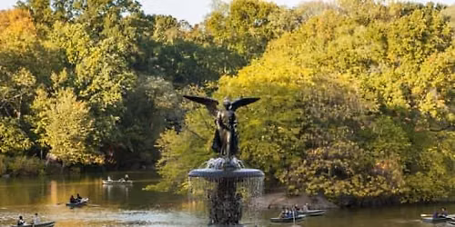 Central Park: Scandal & Vice Walking Tour