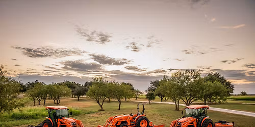 Albion Orange Days Event