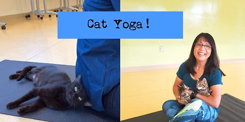 Cat Yoga!
