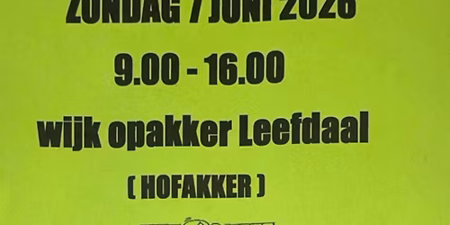 Rommelmarkt Wijk Opakker Leefdaal 