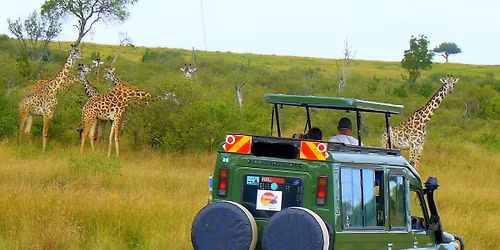 5 hours Nairobi National Park Private Game Drive Safari