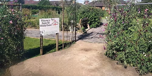 Plant sale weekend 2026