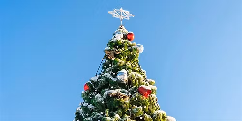 Tree Lighting Celebration!