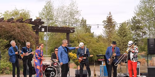 Live at the Vineyard: High Street Band Spring Fling!