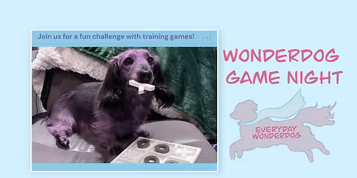 Wonderdog Game Night