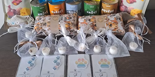 Dobratick\u00fd z\u00e1vodn\u00ed b\u011bh VIII s mo\u017enost\u00ed opravy + tr\u00e9nink agility