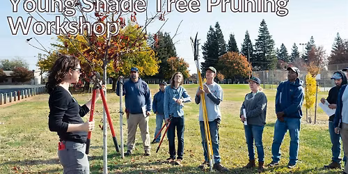 Young Shade Tree Pruning Workshop