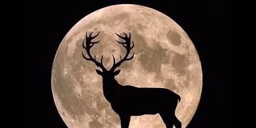 \ud83c\udf42Berrea y Luna Llena: un concierto natural bajo las estrellas