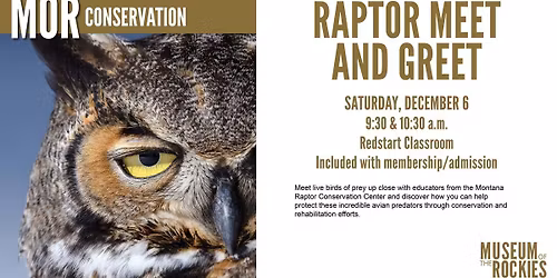 Raptor Meet and Greet