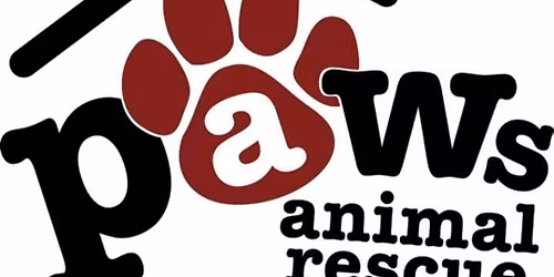 🐾 Find Your Furry Friend at the PAWS Animal Rescue Adoption Event! 🐾-10