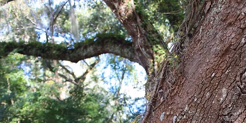 Wreath Making Workshop 