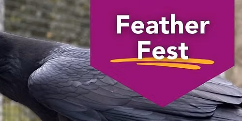 Feather Fest