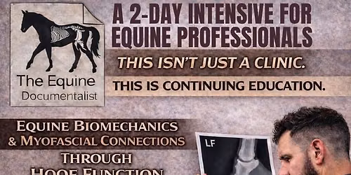 Yogi Sharp, The Equine Documentalist 2 day Intensive