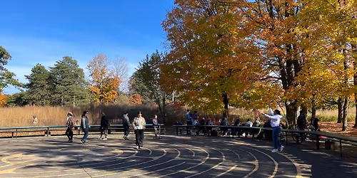 High Park Meditation and Fall Foliage Tree Tour