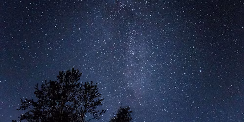 New Moon Night Hike \ud83c\udf19