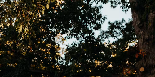 Cam& Alicia\u2019s Stag and Doe !