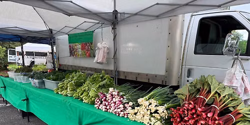 Yang FFP @ New Brighton Farmers Market 