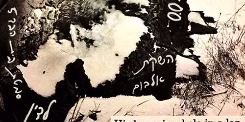 Tziltzal \u05e6\u05d9\u05dc\u05e6\u05dc \u05d1\u05d4\u05d5\u05e4\u05e2\u05d4 \u05d4\u05e9\u05e7\u05ea \u05d0\u05dc\u05d1\u05d5\u05dd \u05d1\u05dc\u05d3\u05d9\u05df \u05d130.5