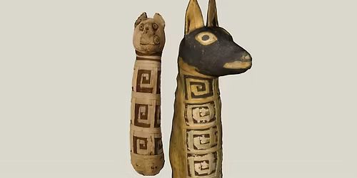 Leggere tra le bende: i tessuti delle mummie animali votive