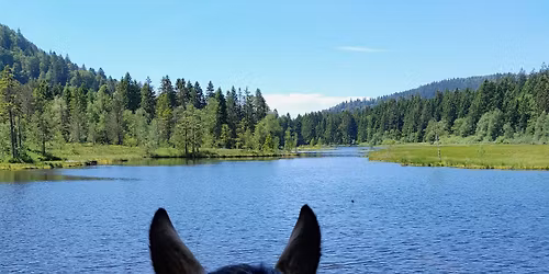 Rando 3 jours Haute Vosges 