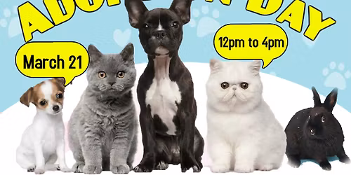 Adoption Day