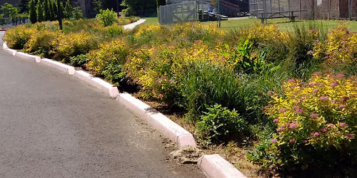 Vegetated Stormwater Facilities 2027