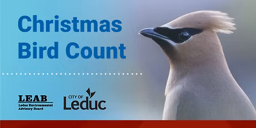 Christmas Bird Count: Kick Off the Count
