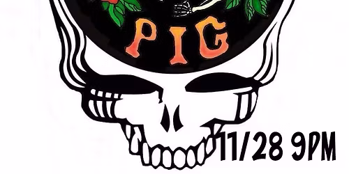 I DIG PIG Returns!!
