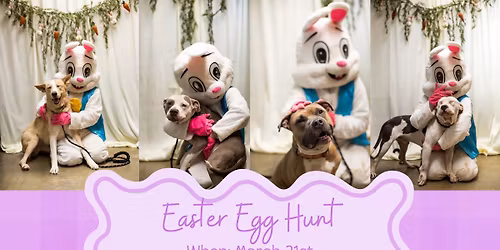 Easter egg hunt