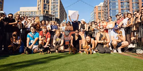 Wiener 500 at The Wharf - Dog Registration 2026