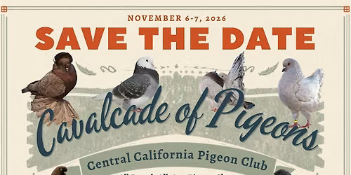 Cavalcade of Pigeons by Central California Pigeon Club