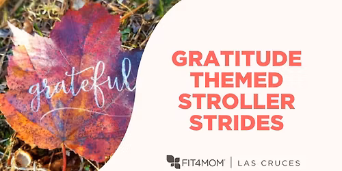 Gratitude Themed Stroller Strides