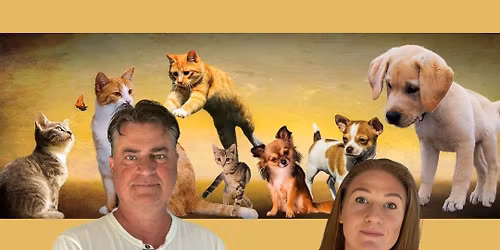 Djurkommunikation - workshop 8 december