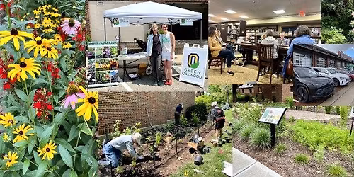 Styrofoam Collection