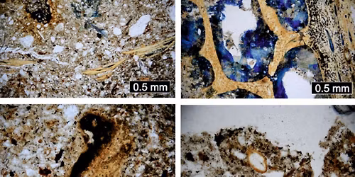 Prav\u011bk Uherskohradi\u0161\u0165ska ve sv\u011btle p\u0159\u00edrodov\u011bdn\u00fdch anal\u00fdz \/ zp\u0159\u00edstupn\u011bn\u00ed v\u00fdstavy