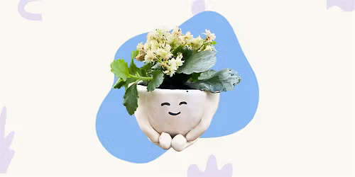 Make Your Own Plant Pot Pottery Workshop