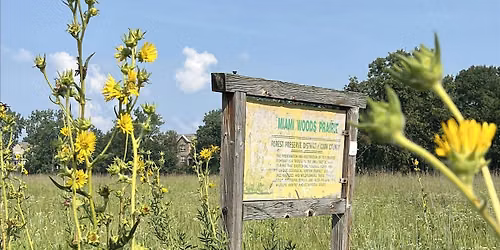 Trailblazers: End of Summer Insect Exploration