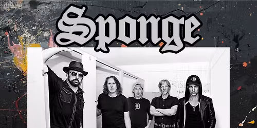 Sponge