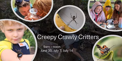 Oconee 4-H Creepy Crawly Critter Camp 2026