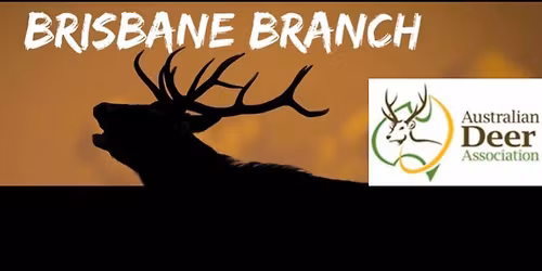 Christmas BBQ and Awards Night