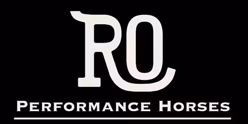 Complete horse sport experience