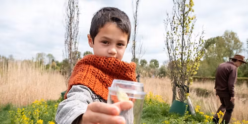 Kriebelbeestjes Festival