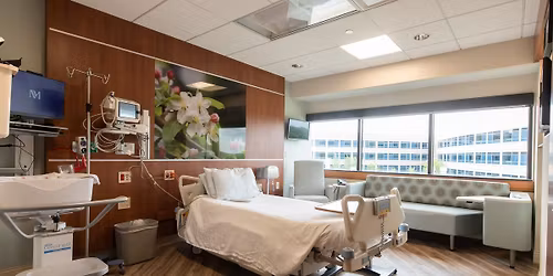 Understanding Birth 1-Day Course