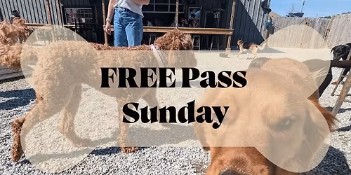 Free Pass Sunday