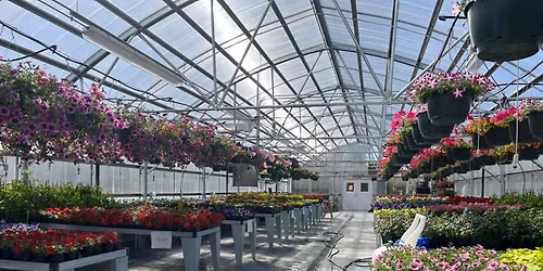 MHS FFA Plant Sale 2026