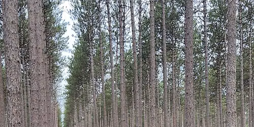 Forest Products Week Tour: Priority Timberlands